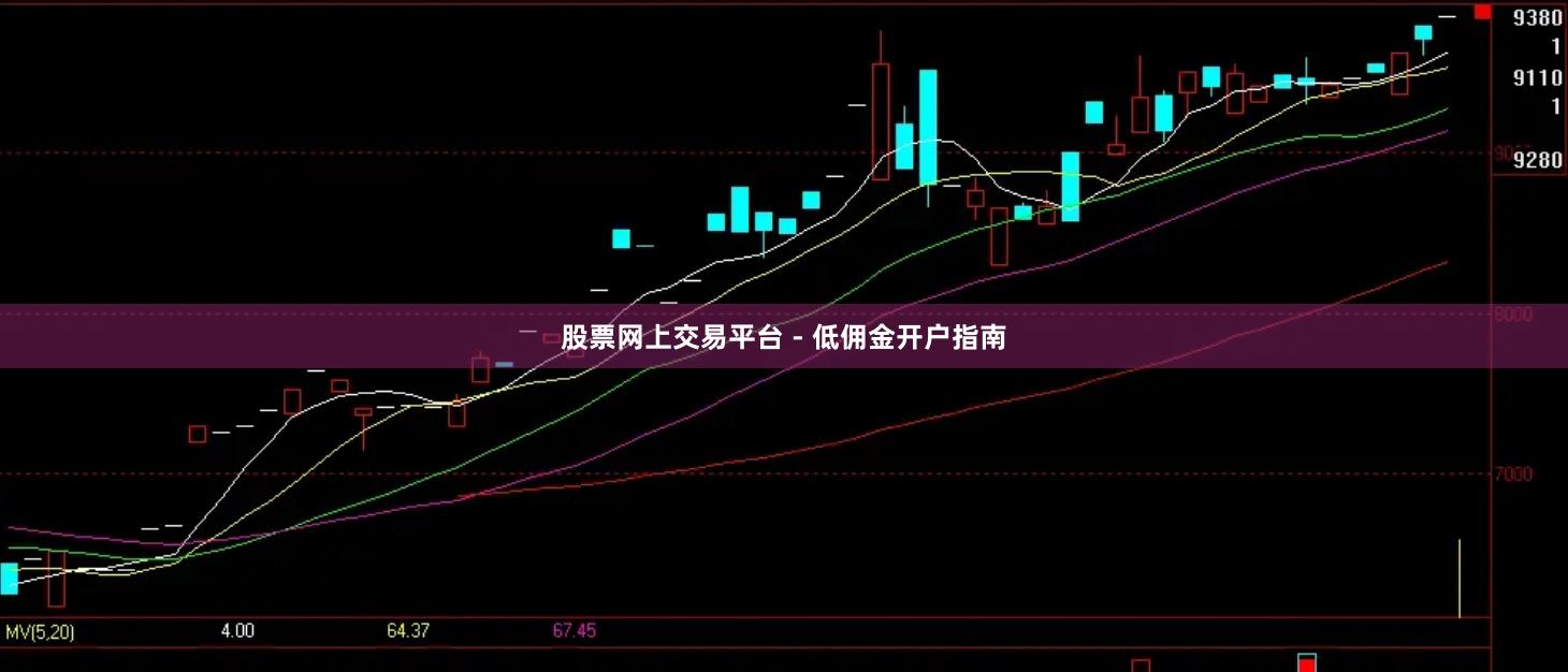 股票网上交易平台 - 低佣金开户指南